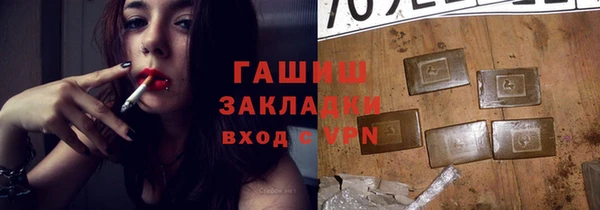 прущие грибы Абаза
