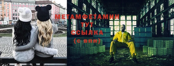 прущие грибы Абаза