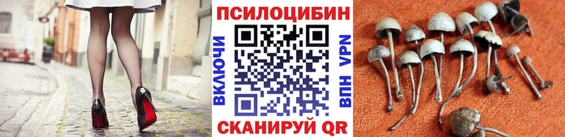 mega сайт  Миллерово  darknet Telegram  Галлюциногенные грибы мухоморы 